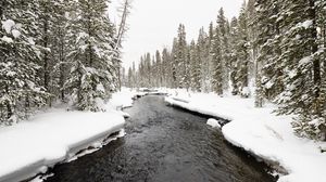 Preview wallpaper river, trees, snow, landscape, winter, nature