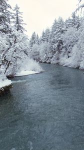 Preview wallpaper river, trees, snow, coast, winter, nature