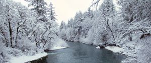 Preview wallpaper river, trees, snow, coast, winter, nature