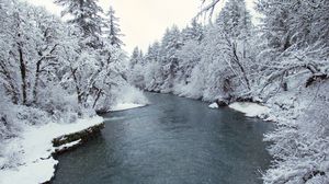Preview wallpaper river, trees, snow, coast, winter, nature