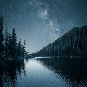 Preview wallpaper river, trees, starry sky, night, landscape