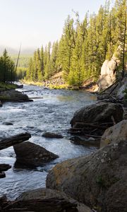 Preview wallpaper river, trees, stones, logs, nature