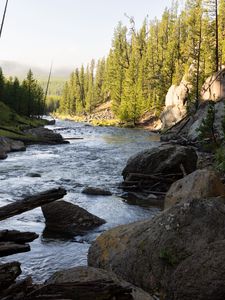 Preview wallpaper river, trees, stones, logs, nature