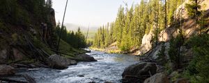 Preview wallpaper river, trees, stones, logs, nature