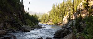 Preview wallpaper river, trees, stones, logs, nature