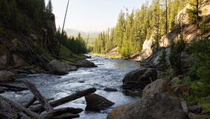 Preview wallpaper river, trees, stones, logs, nature