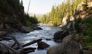 Preview wallpaper river, trees, stones, logs, nature