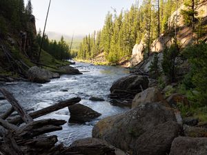 Preview wallpaper river, trees, stones, logs, nature