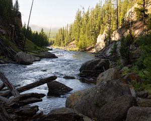 Preview wallpaper river, trees, stones, logs, nature