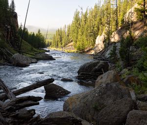 Preview wallpaper river, trees, stones, logs, nature