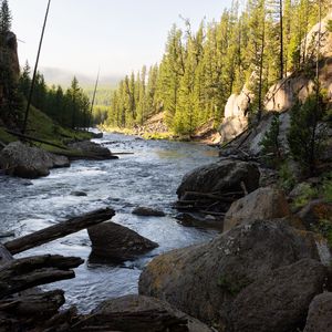 Preview wallpaper river, trees, stones, logs, nature