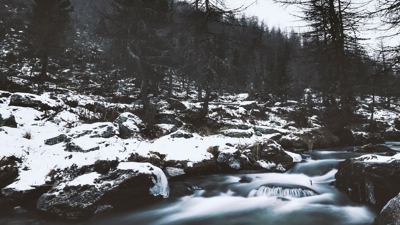 Wallpaper river, trees, stones, snow, nature