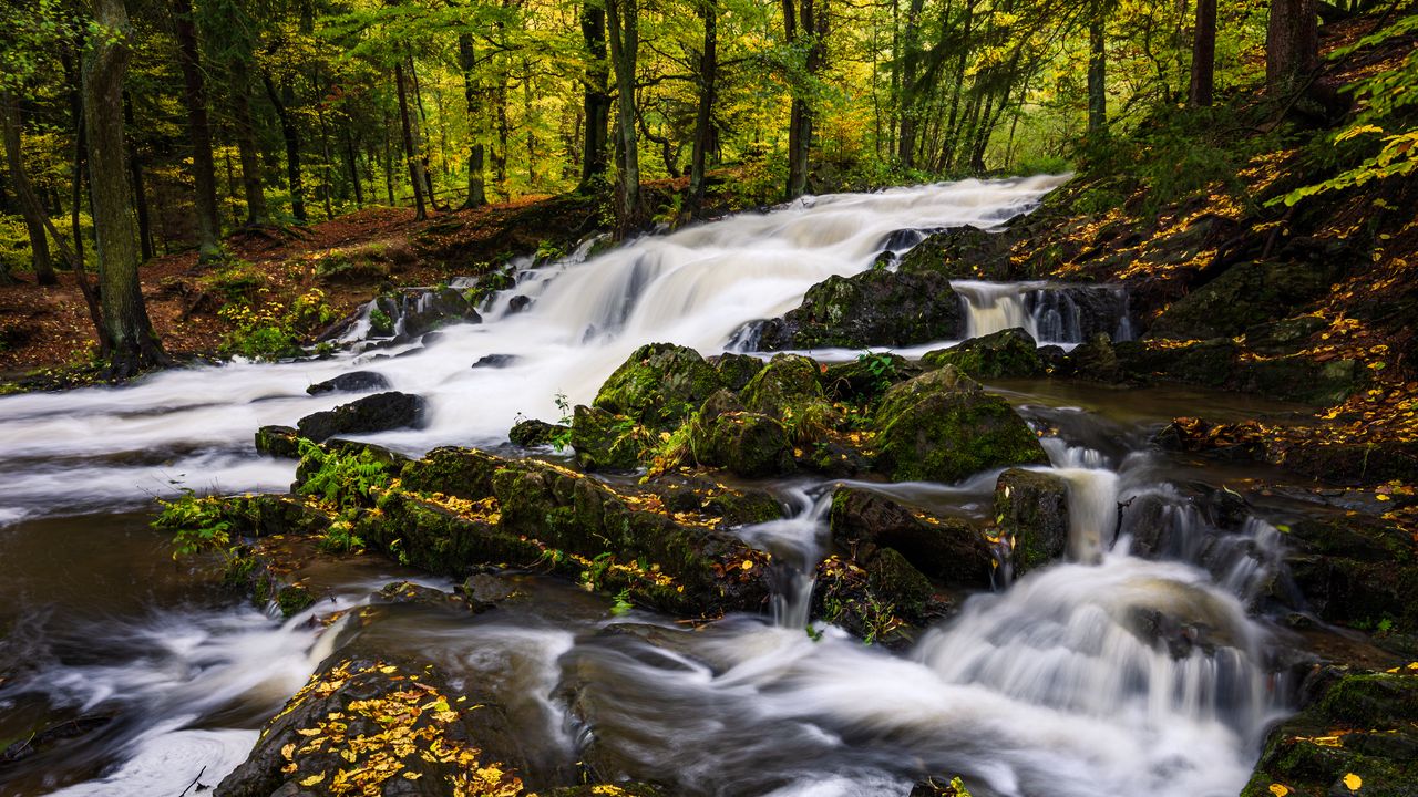 Wallpaper river, trees, stones, water, autumn, nature
