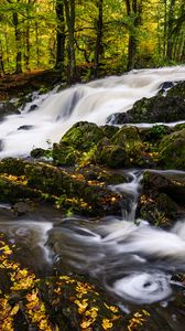 Preview wallpaper river, trees, stones, water, autumn, nature