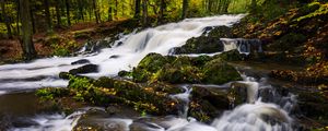 Preview wallpaper river, trees, stones, water, autumn, nature