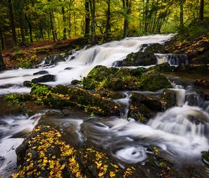 Preview wallpaper river, trees, stones, water, autumn, nature