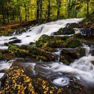 Preview wallpaper river, trees, stones, water, autumn, nature