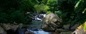 Preview wallpaper river, trees, stones, landscape, nature