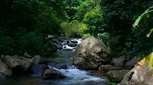 Preview wallpaper river, trees, stones, landscape, nature