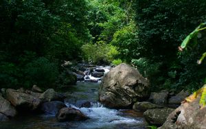 Preview wallpaper river, trees, stones, landscape, nature