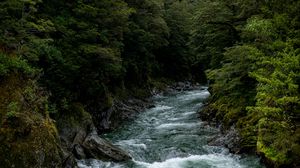 Preview wallpaper river, trees, stones, nature