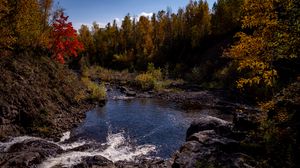 Preview wallpaper river, trees, stones, landscape