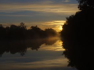 Preview wallpaper river, trees, sunrise, nature