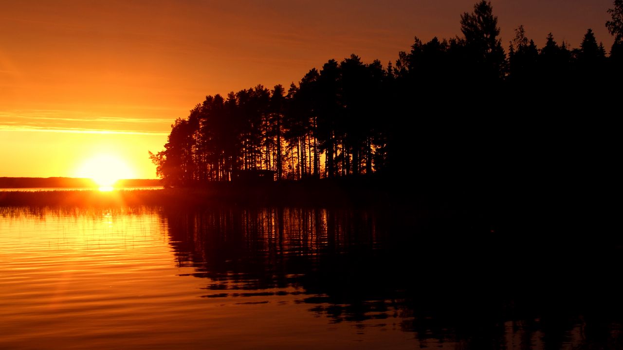 Wallpaper river, trees, sunset, dark