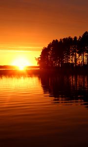 Preview wallpaper river, trees, sunset, dark