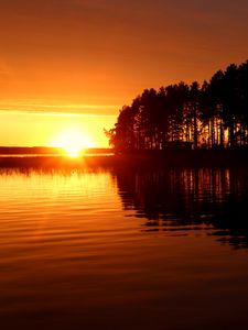 Preview wallpaper river, trees, sunset, dark