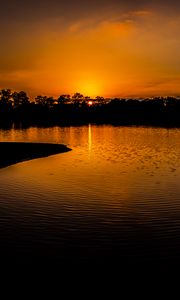 Preview wallpaper river, trees, sunset, dark, silhouettes