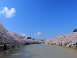 Preview wallpaper river, trees, turning, sky