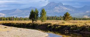 Preview wallpaper river, trees, valley, meadow, mountains, landscape