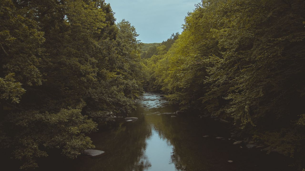 Wallpaper river, trees, water, nature, landscape