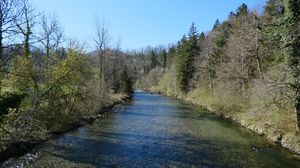 Preview wallpaper river, trees, water, landscape, nature