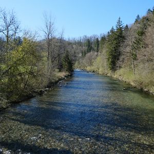 Preview wallpaper river, trees, water, landscape, nature