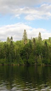 Preview wallpaper river, trees, wind, sky