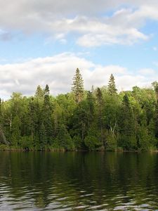 Preview wallpaper river, trees, wind, sky