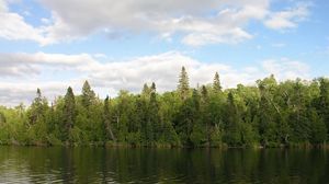 Preview wallpaper river, trees, wind, sky