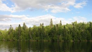 Preview wallpaper river, trees, wind, sky