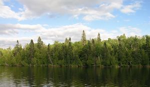 Preview wallpaper river, trees, wind, sky