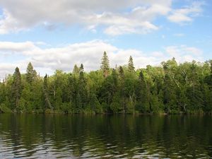 Preview wallpaper river, trees, wind, sky