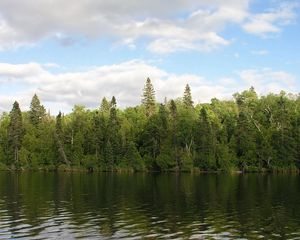 Preview wallpaper river, trees, wind, sky