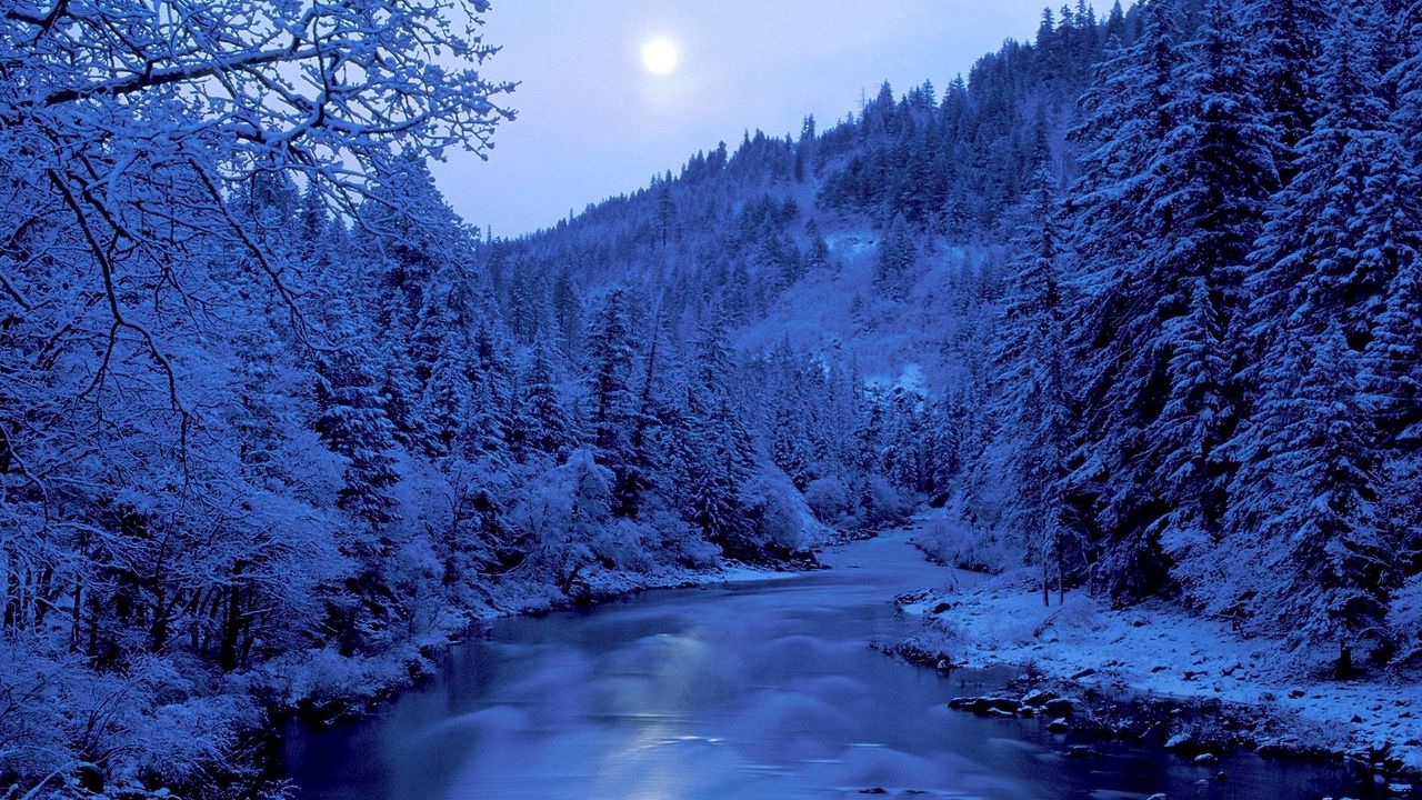 Wallpaper river, trees, winter, hoarfrost, coast, moon, sky