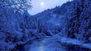 Preview wallpaper river, trees, winter, hoarfrost, coast, moon, sky