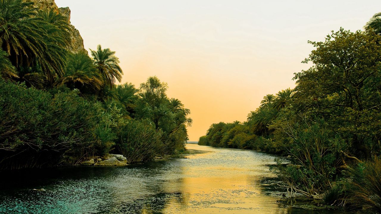 Wallpaper river, tropics, vegetation, bushes, trees, sky, silence