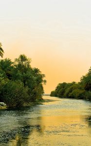 Preview wallpaper river, tropics, vegetation, bushes, trees, sky, silence
