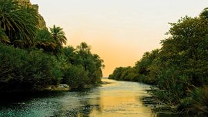 Preview wallpaper river, tropics, vegetation, bushes, trees, sky, silence