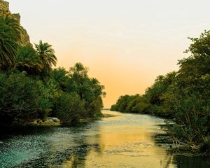 Preview wallpaper river, tropics, vegetation, bushes, trees, sky, silence