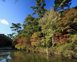 Preview wallpaper river, turn, trees, autumn